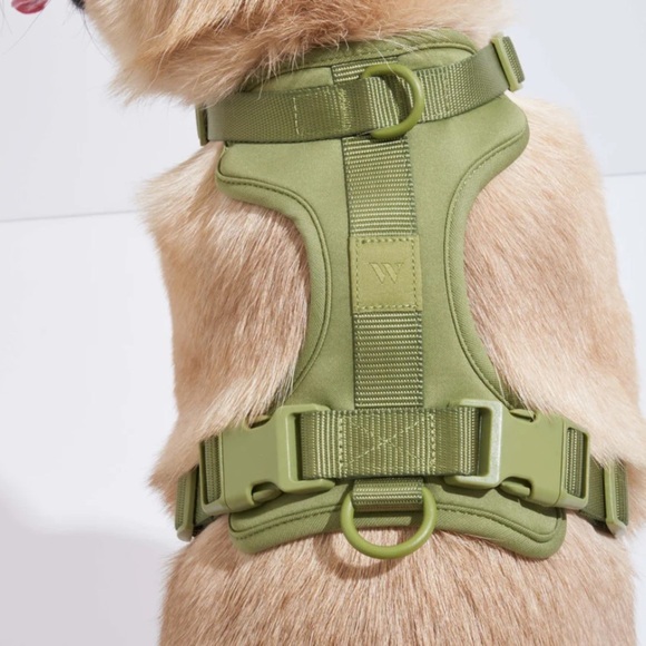 Wild One Dog Harness - Moss Green | Limited Edition | Size S | NWT - Picture 4 of 8